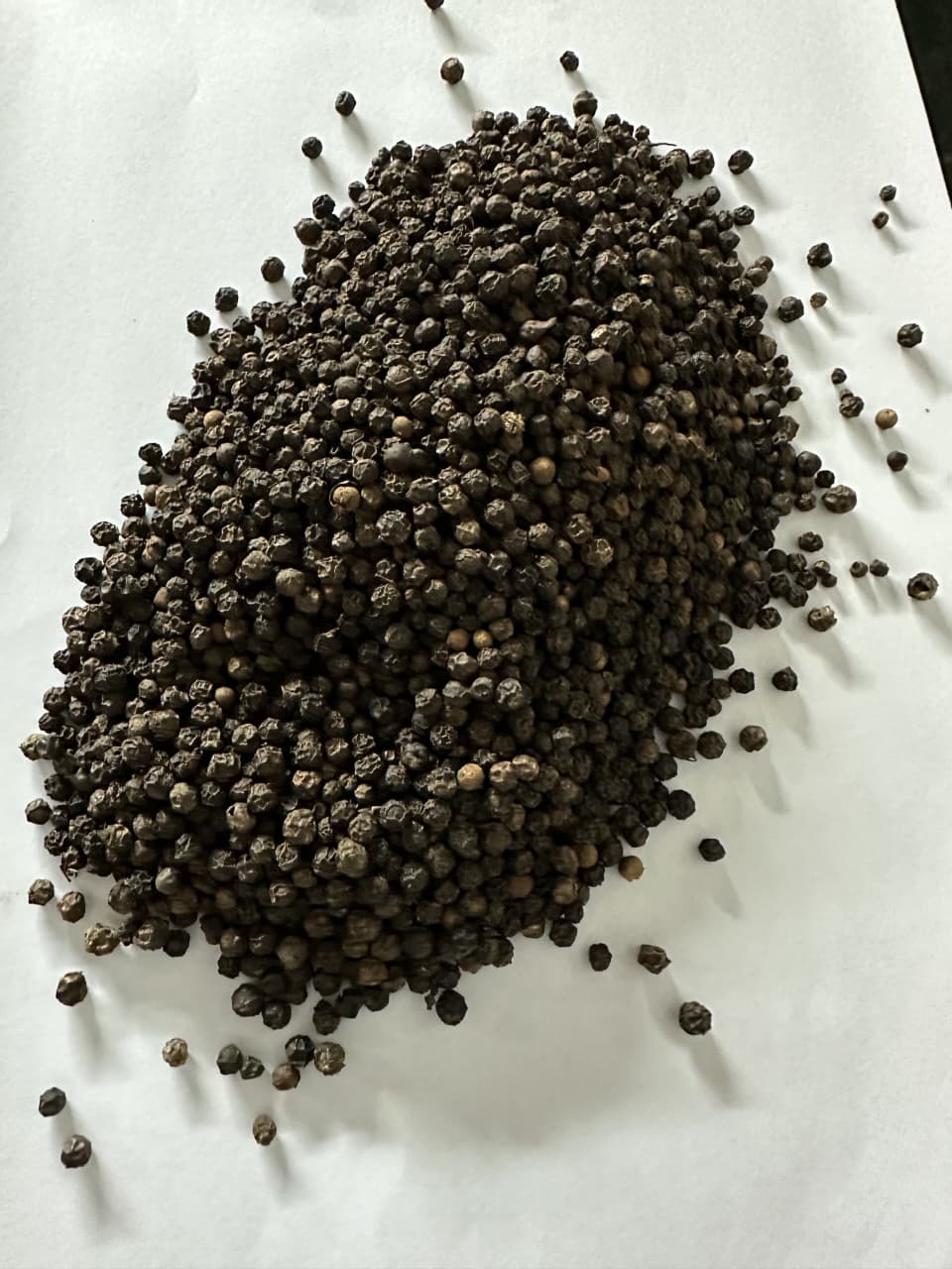 Black Pepper