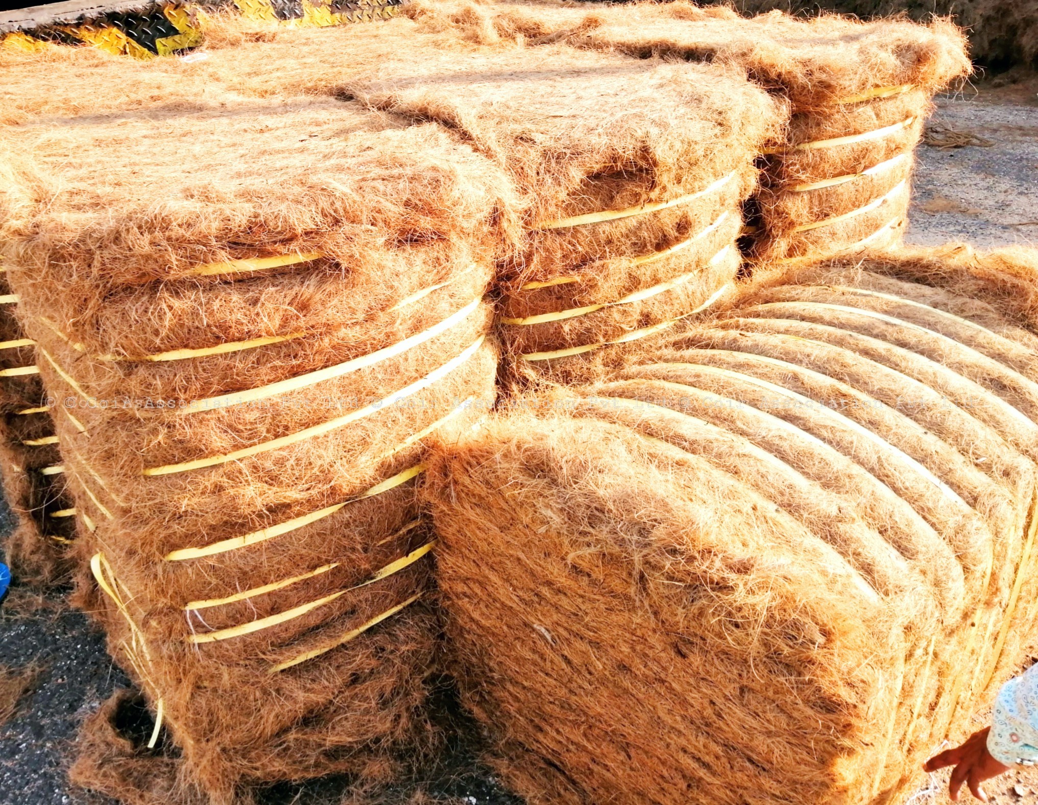 {"fte_image_ids":[],"remix_data":[],"origin":"unknown","total_draw_time":0,"total_draw_actions":0,"layers_used":0,"brushes_used":0,"total_editor_time":55,"total_editor_actions":{},"photos_added":0,"tools_used":{"adjust":1,"templates":2},"longitude":-1,"latitude":-1,"is_sticker":false,"edited_since_last_sticker_save":true,"containsFTESticker":false}