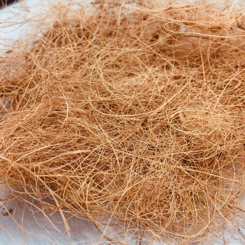 Coir Fiber