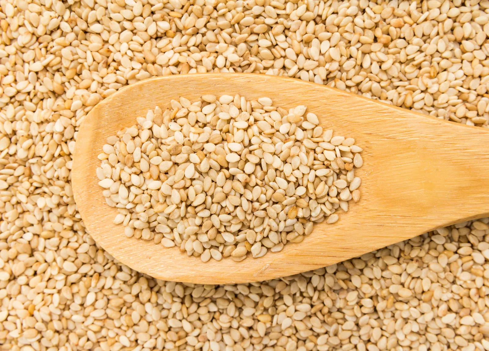 Sesame Seeds 4
